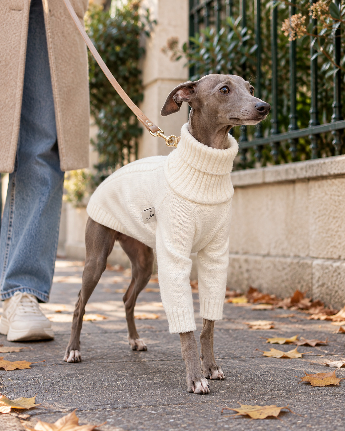 Le Fuseau Écru — pull col roulé en maille écrue, 100% coton, porté par un chien