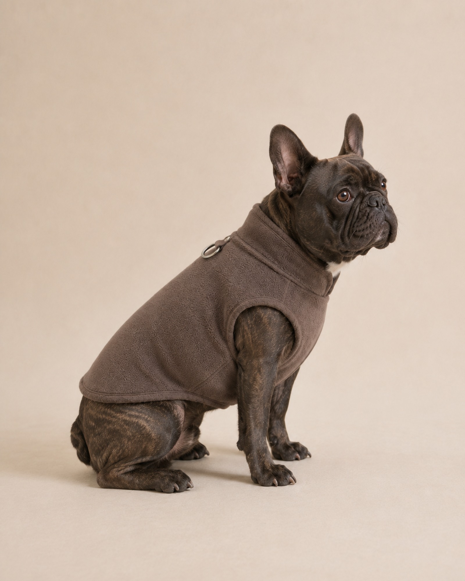 Bouledogue français en polaire