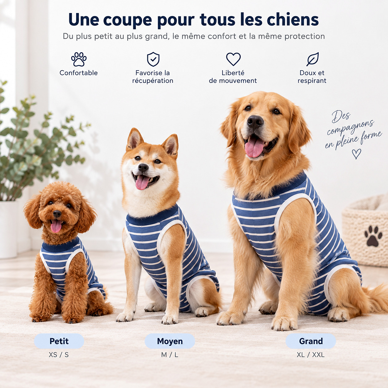Le Convalescent Intégral — l'essentiel, en un coup d'œil
